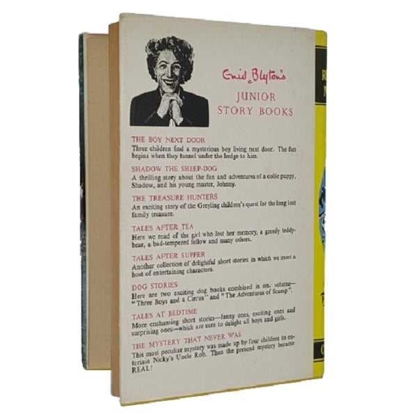 Enid Blyton's The Rubadub Mystery - Collins 1965