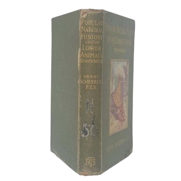 Popular Natural History of the Lower Animals (Invertebrate) by Henry Scherren - RTS 1903