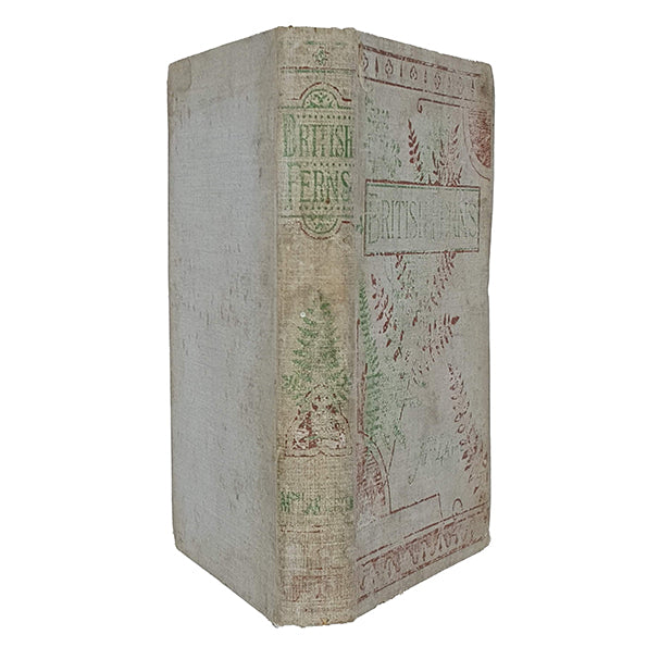 British Ferns by Mrs Lankester - Gibbings 1903
