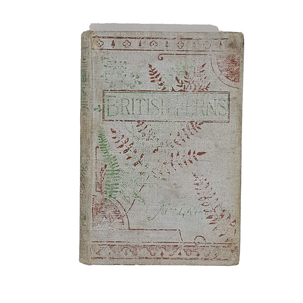 British Ferns by Mrs Lankester - Gibbings 1903