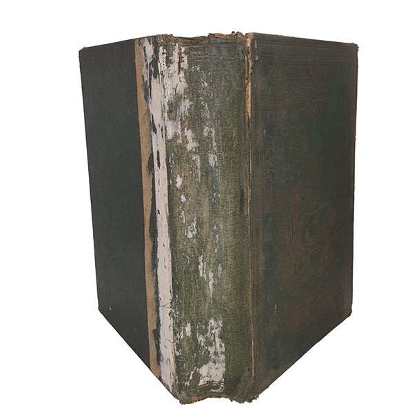 Black Beauty by Anna Sewell - Illustrated, Jarrolds Publishers, c.1880