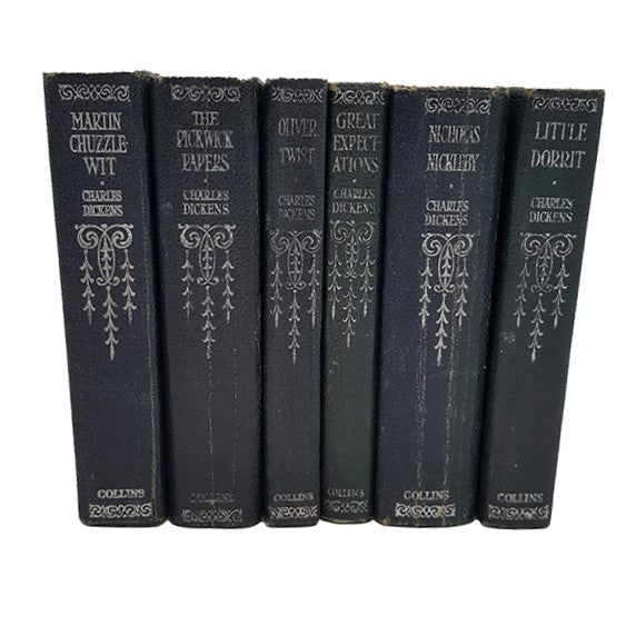 Charles Dickens Novels (6 Books)