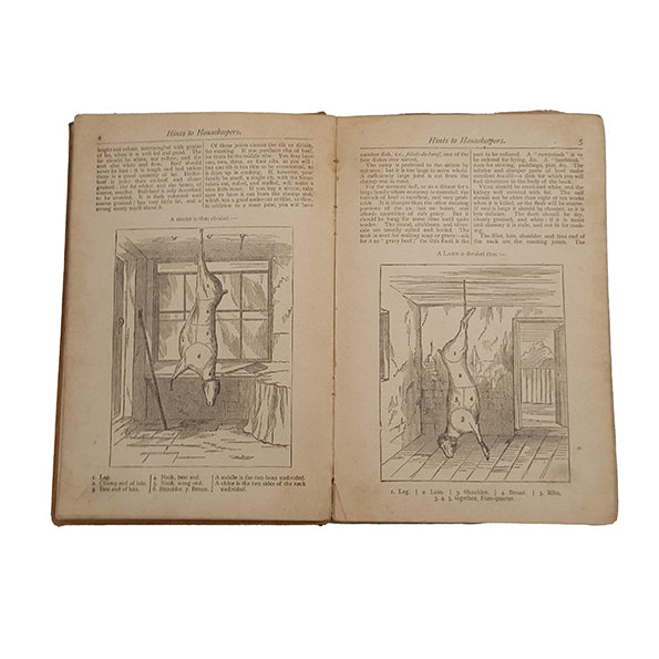 Model Cookery and Housekeeping Book by Mary Jewry