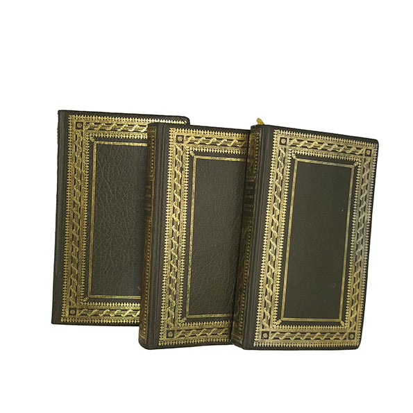Daphne Du Maurier Collected Works - 3 Heron Books