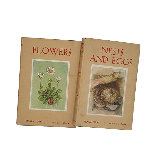 Flowers, Nests And Eggs by Janet Harvey Kelman