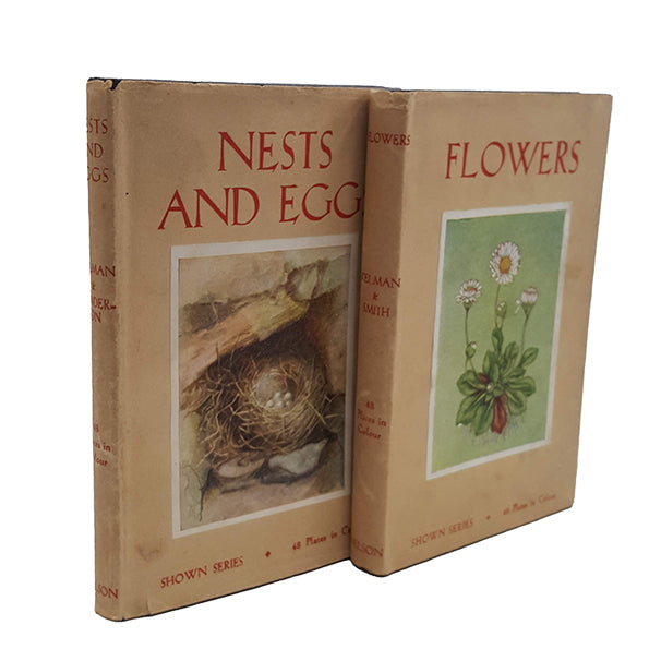 Flowers, Nests And Eggs by Janet Harvey Kelman