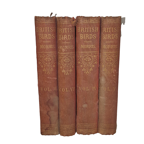 A History of Birds by Rev. Morris (4 Books)