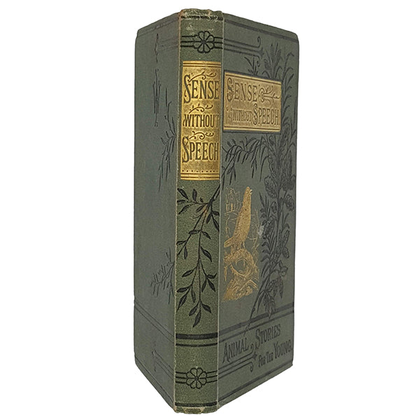 Sense Without Speech - W. M. Ibister Ltd. 1881