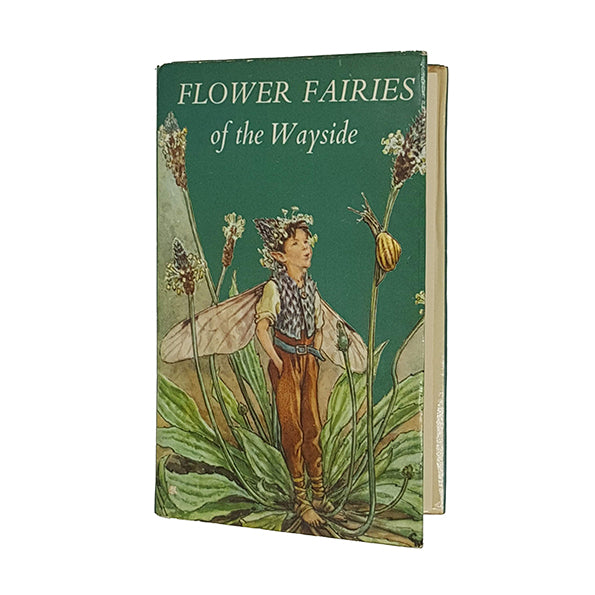Flower Fairies of the Wayside by Cicely Mary Barker - Blackie