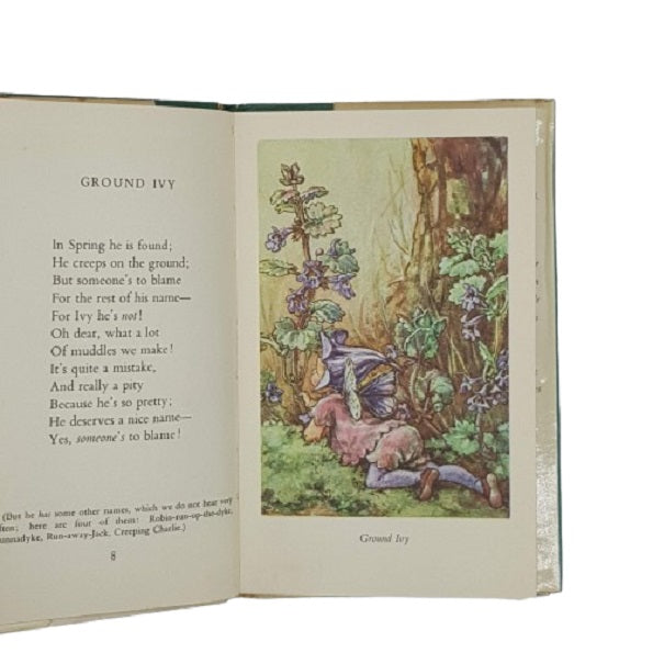 Flower Fairies of the Wayside by Cicely Mary Barker - Blackie