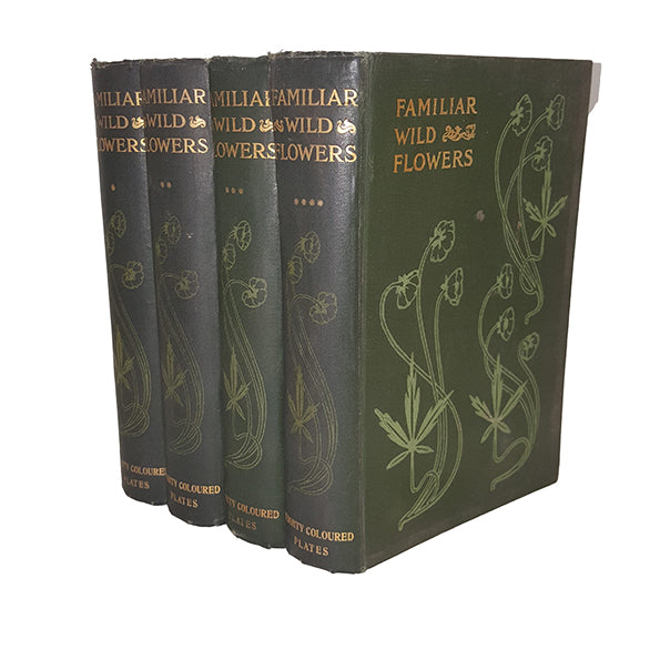 Familiar Wild Flowers by F. Edward Hulme - 4 Books