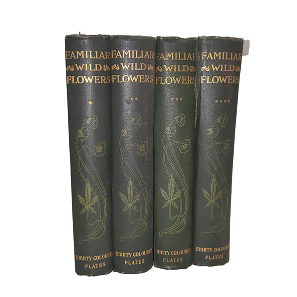 Familiar Wild Flowers by F. Edward Hulme - 4 Books