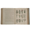 Culpeper's Complete Herbal - Thomas Kelly, 1807