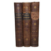 Y Testament Newydd - The Bible in Welsh, Albert Barnes, 1858 (3 Books)