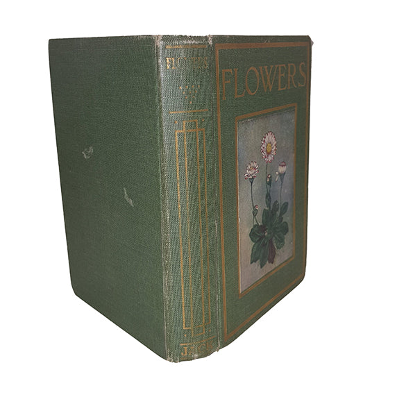 Flowers by Janet Harvey Kelman