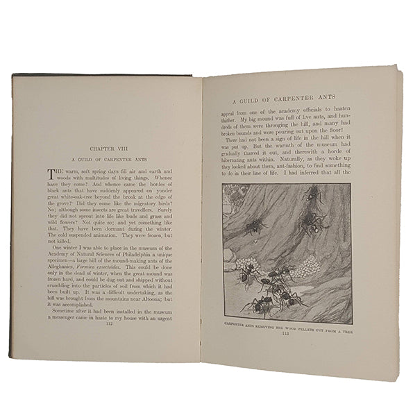 Nature's Craftsmen by H. C. McCook - Harper, 1907
