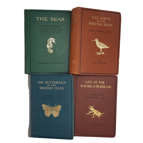 Life of the Wayside and Woodland, The Seas, Birds, Butterflies of the British Isles - Warne, 1941-4 (4 Books)