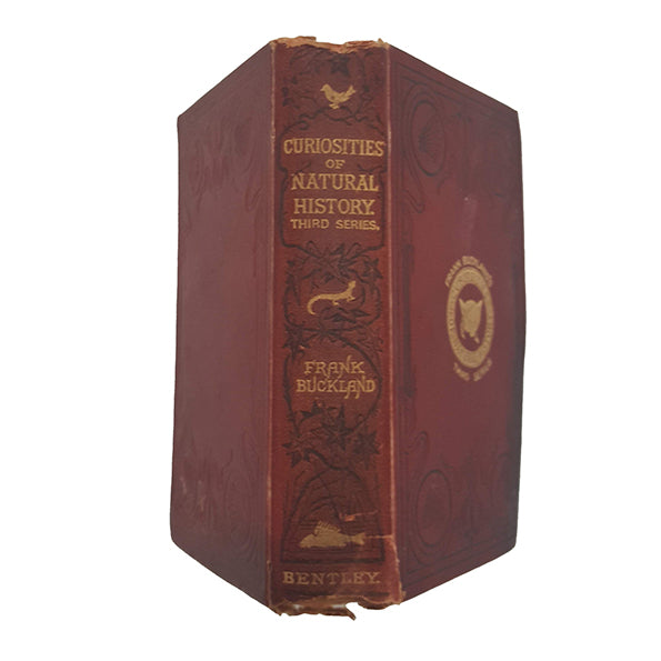 Curiosities of Natural History Third Series by Frank Buckland - Bentley, 1891