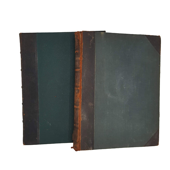 Charles Dickens' David Copperfield and Our Mutual Friend