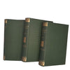 Sir Walter Scott's Waverley Novels, 1903 (15 Books)