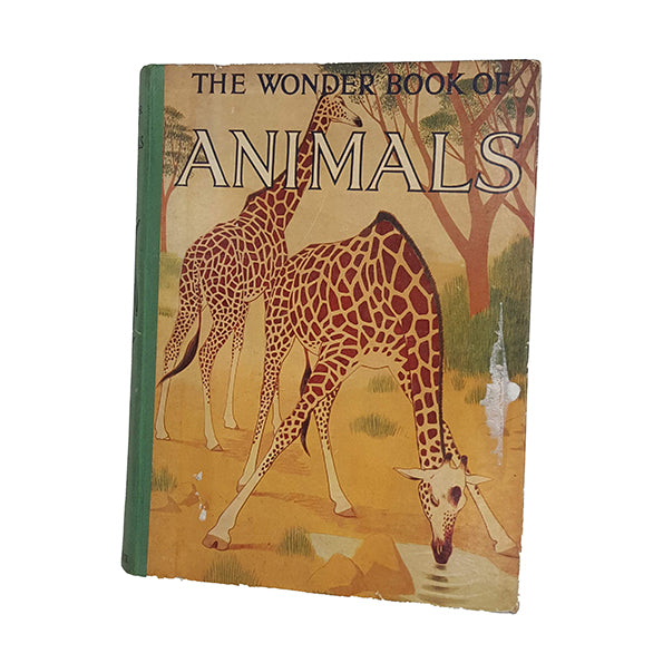 The Wonder Book of Animals