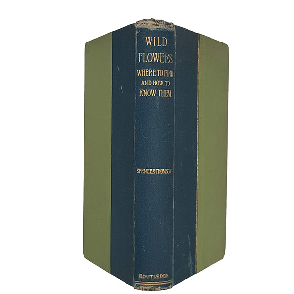 Wild Flowers by Spencer Thomson - Routledge, c.1897