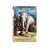 Rudyard Kipling’s The Second Jungle Book 1960-6 - Macmillan